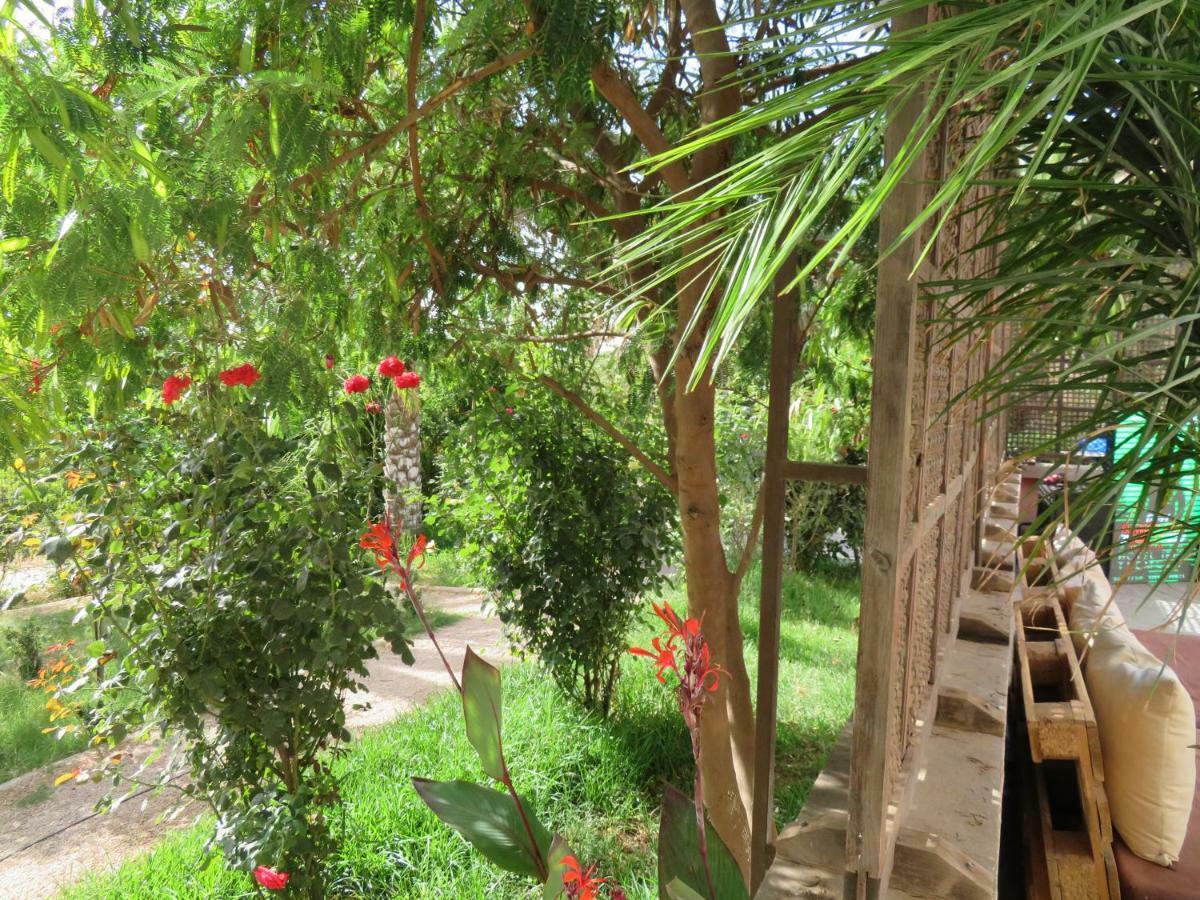Hotel Ibis Tlemcen Esterno foto